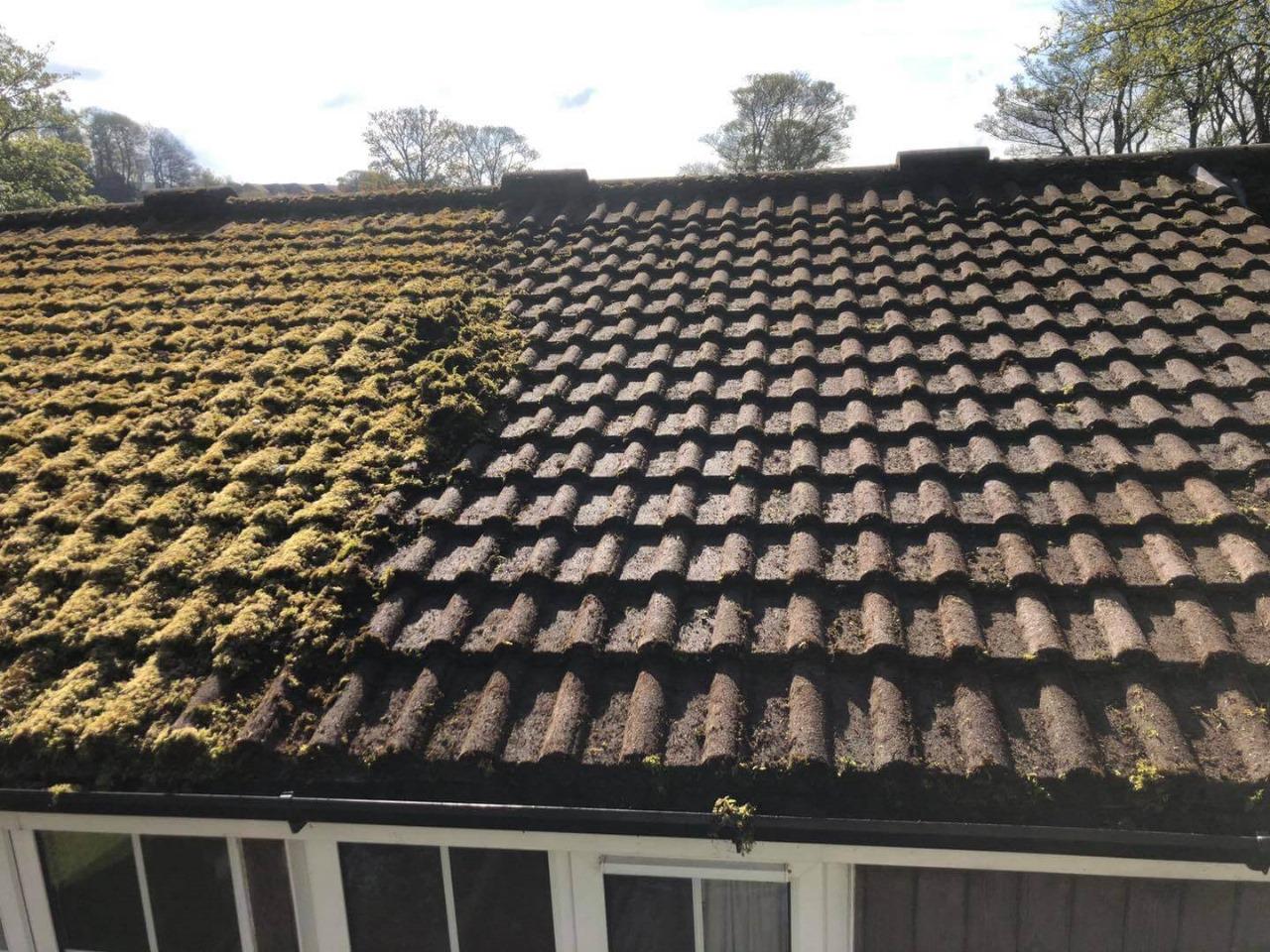 Moss removal in progress — half the roof cleaned showing the difference